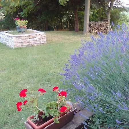 A Casa Di Sara *